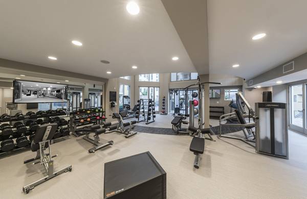 fitness center at The Desmond Apartments