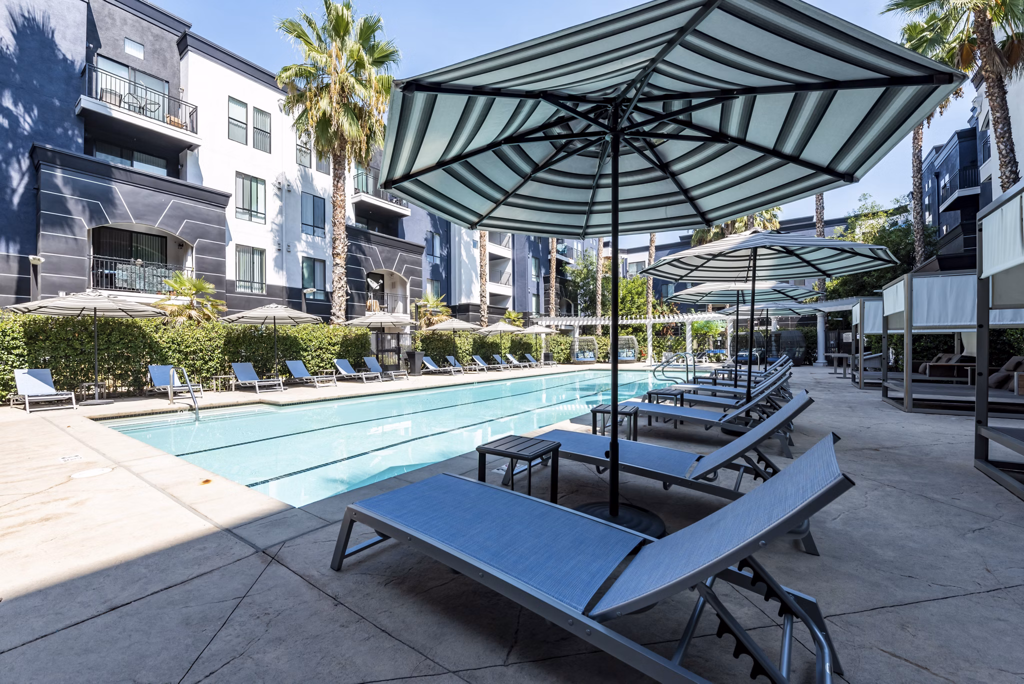 Luxurious outdoor pool at The Gallery at NoHo Commons Apartments featuring modern design and lounge chairs