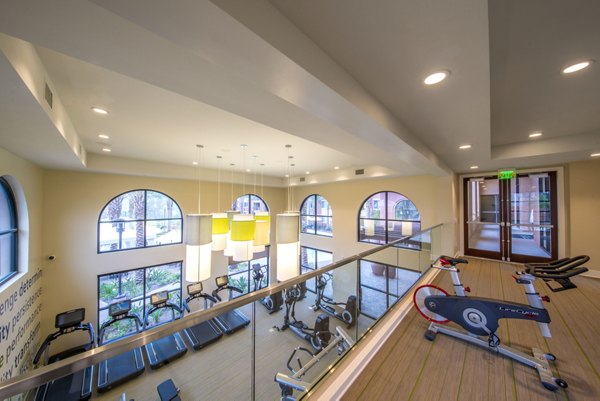 State-of-the-art fitness center with modern equipment at The Verge Apartments
