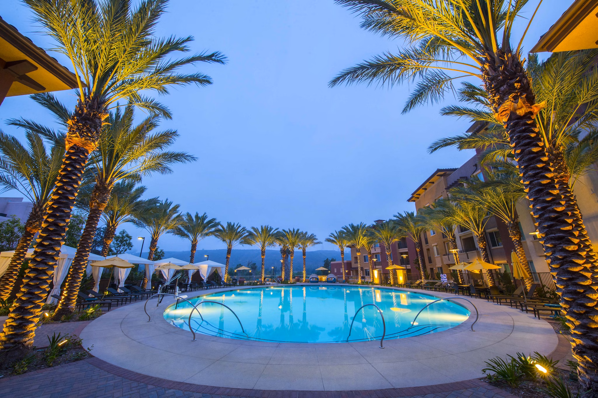 Luxurious pool with sun loungers at The Verge Apartments, offering relaxation and leisure in an upscale setting