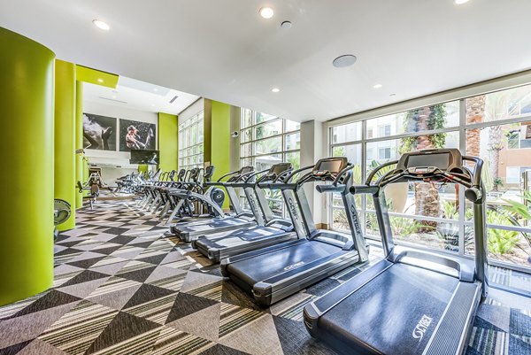 Luce Apartments: Modern fitness center featuring state-of-the-art equipment