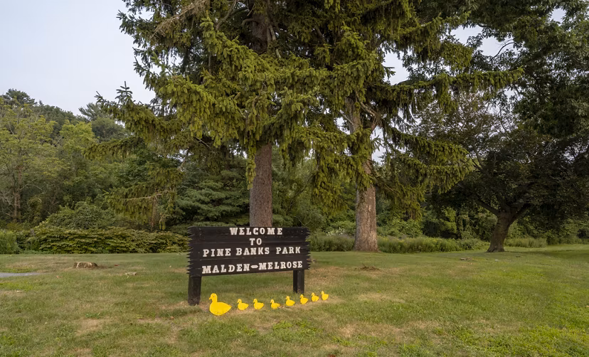 neighborhood at The Washingtons Apartments