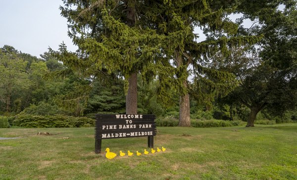 neighborhood at The Washingtons Apartments