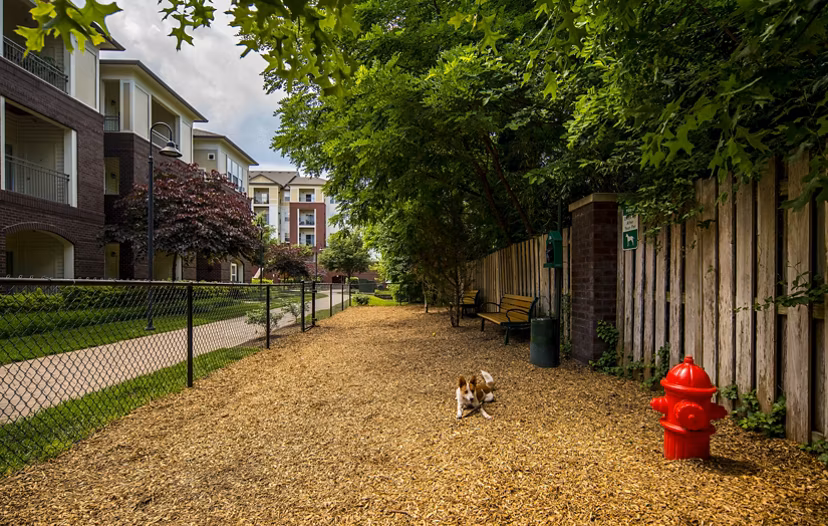 Spacious dog park with agility equipment at Bailey's Crossing Apartments