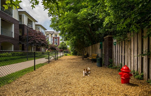 Spacious dog park with agility equipment at Bailey's Crossing Apartments