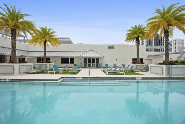 pool at SoMa at Brickell Apartments