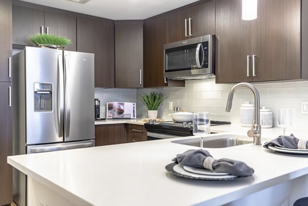 kitchen at The Mark at Cityscape Apartments
