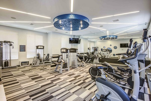 State-of-the-art fitness center with modern equipment at The Franklin Delray Apartments