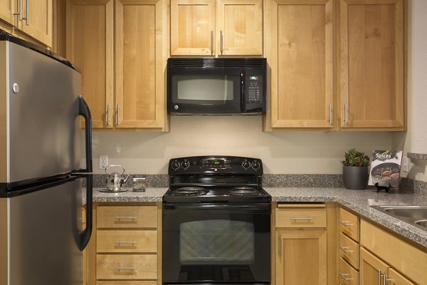 kitchen at Acappella Apartments