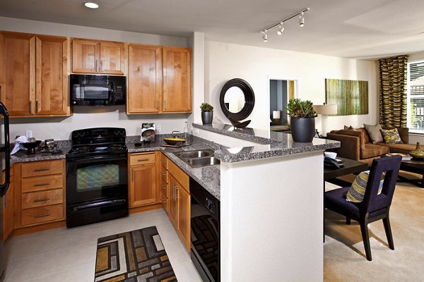 kitchen at Acappella Apartments