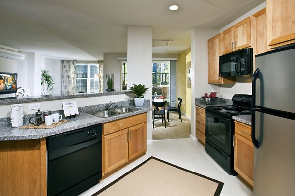 Kitchen featuring modern appliances and granite countertops in Acappella Apartments