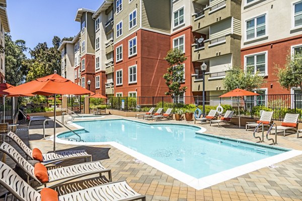 Modern pool with sun loungers at Acappella Apartments, luxurious Greystar property in a vibrant community