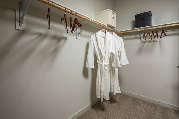 Walk-in closet with ample storage at Terrano Apartments