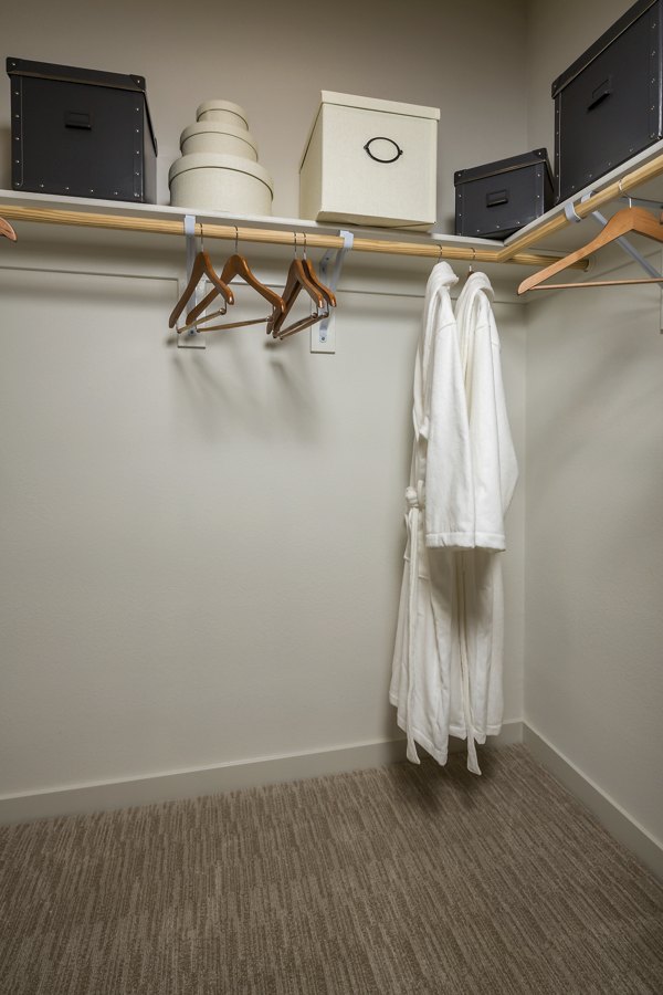 Spacious closet for optimal storage in Terrano Apartments' luxury unit