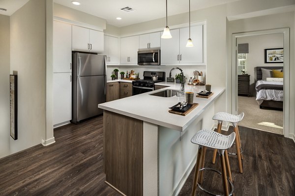 kitchen at Terrano Apartments