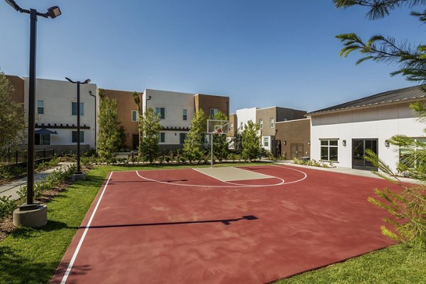Sport court featuring multiple game markings at Terrano Apartments