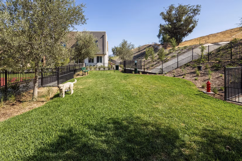 Dog-friendly outdoor space featuring a modern dog park at Terrano Apartments, perfect for pet owners seeking luxury living