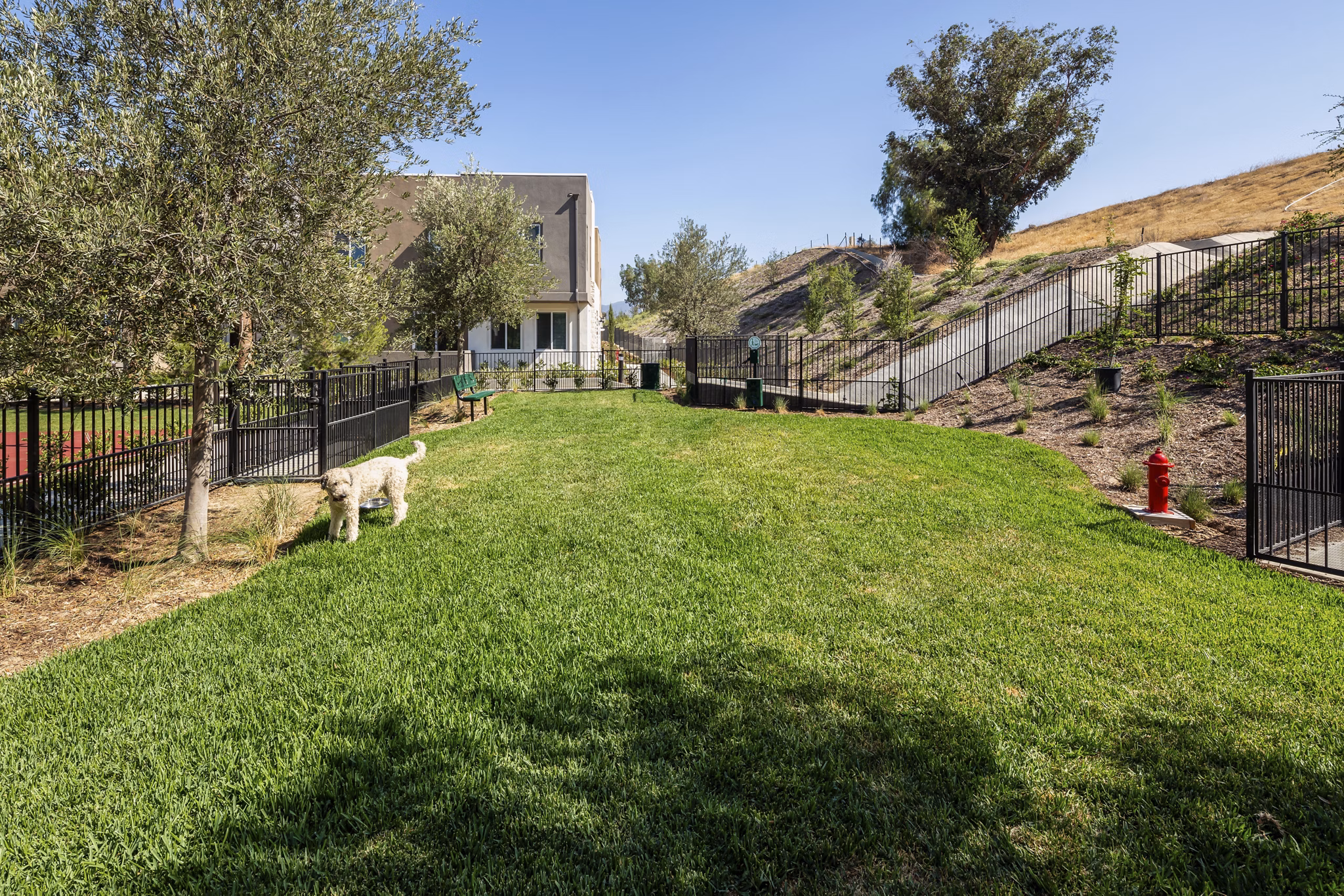 Dog-friendly outdoor space featuring a modern dog park at Terrano Apartments, perfect for pet owners seeking luxury living