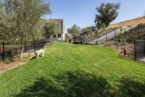 Dog-friendly outdoor space featuring a modern dog park at Terrano Apartments, perfect for pet owners seeking luxury living