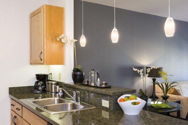 Modern kitchen with stainless steel appliances at Crescent Village Apartments, ideal for luxury living