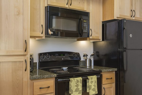 Modern kitchen with stainless steel appliances at Crescent Village Apartments