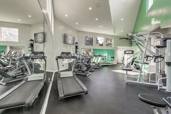 Fitness center featuring modern equipment at The Arboretum Apartments