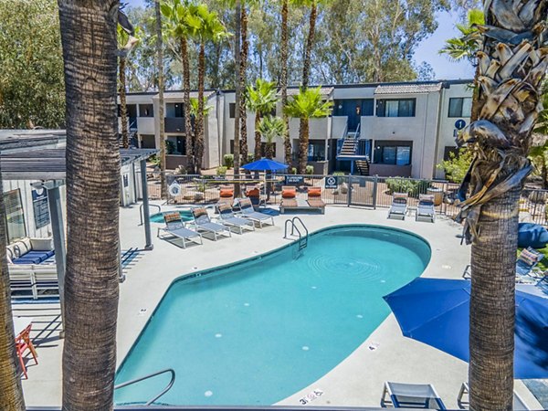 Luxurious pool with lounge areas at CIRC Apartments, a Greystar luxury living community