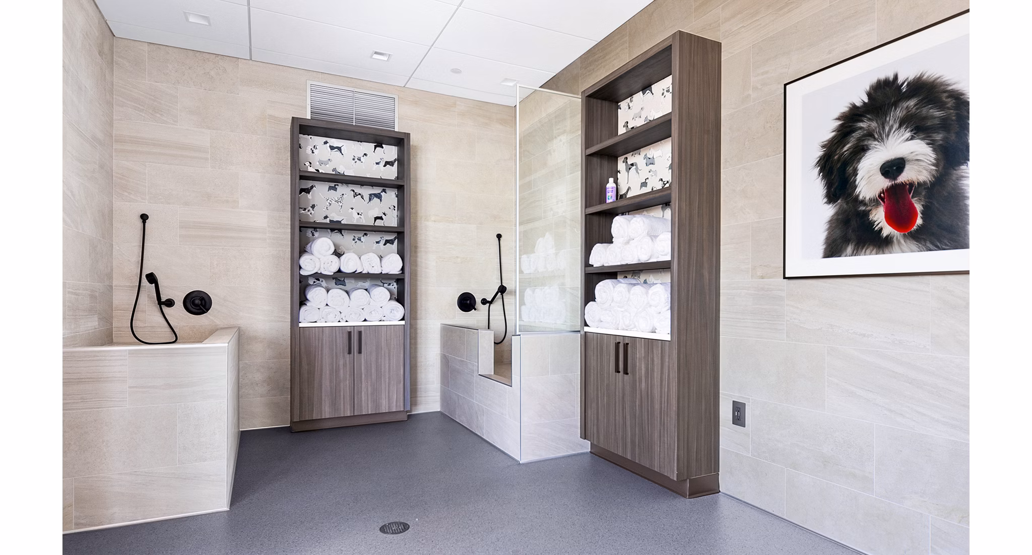 Dog wash station with convenient pet grooming facilities at McKenzie Apartments