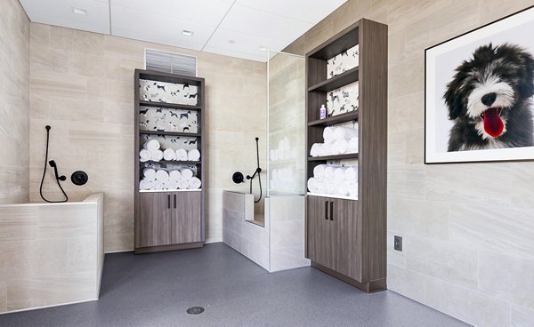 Dog wash station with convenient pet grooming facilities at McKenzie Apartments