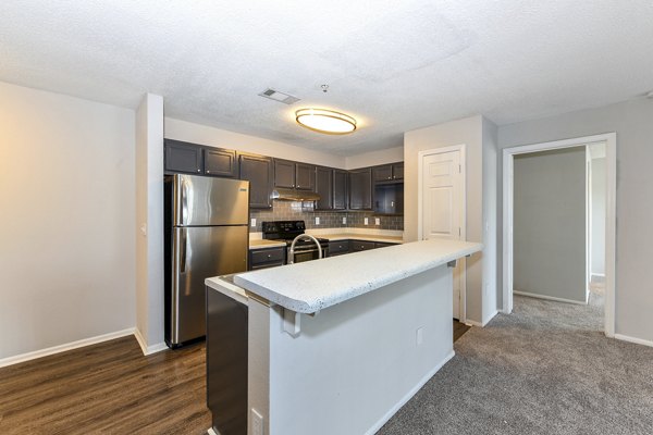 Modern kitchen with stainless steel appliances at The Palmer Apartments