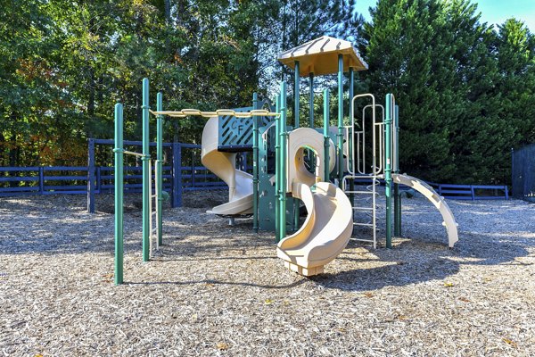 Outdoor playground featuring modern equipment at The Palmer Apartments