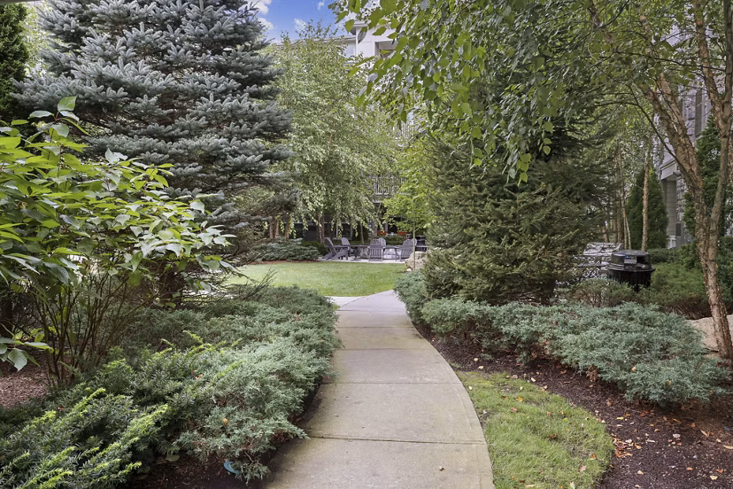 recreational area at Marq at the Pinehills Apartments 