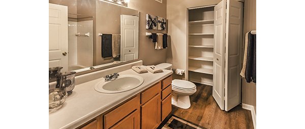 bathroom at Summit Pointe Apartments