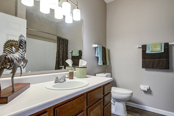 bathroom at Summit Pointe Apartments