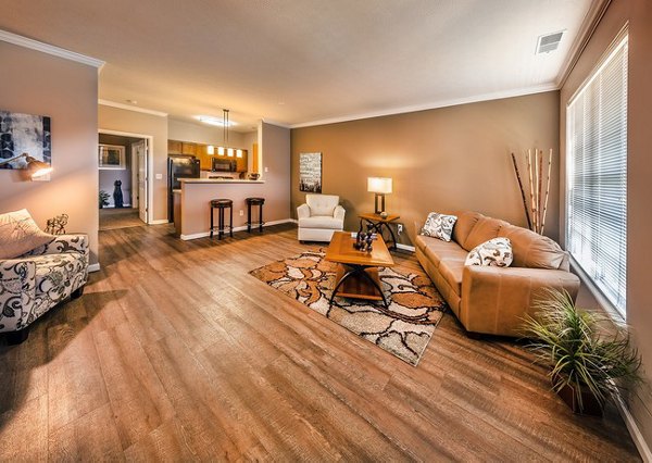 Elegant living room with modern furnishings at Summit Pointe Apartments featuring cozy seating and stylish decor, ideal for relaxation and entertainment