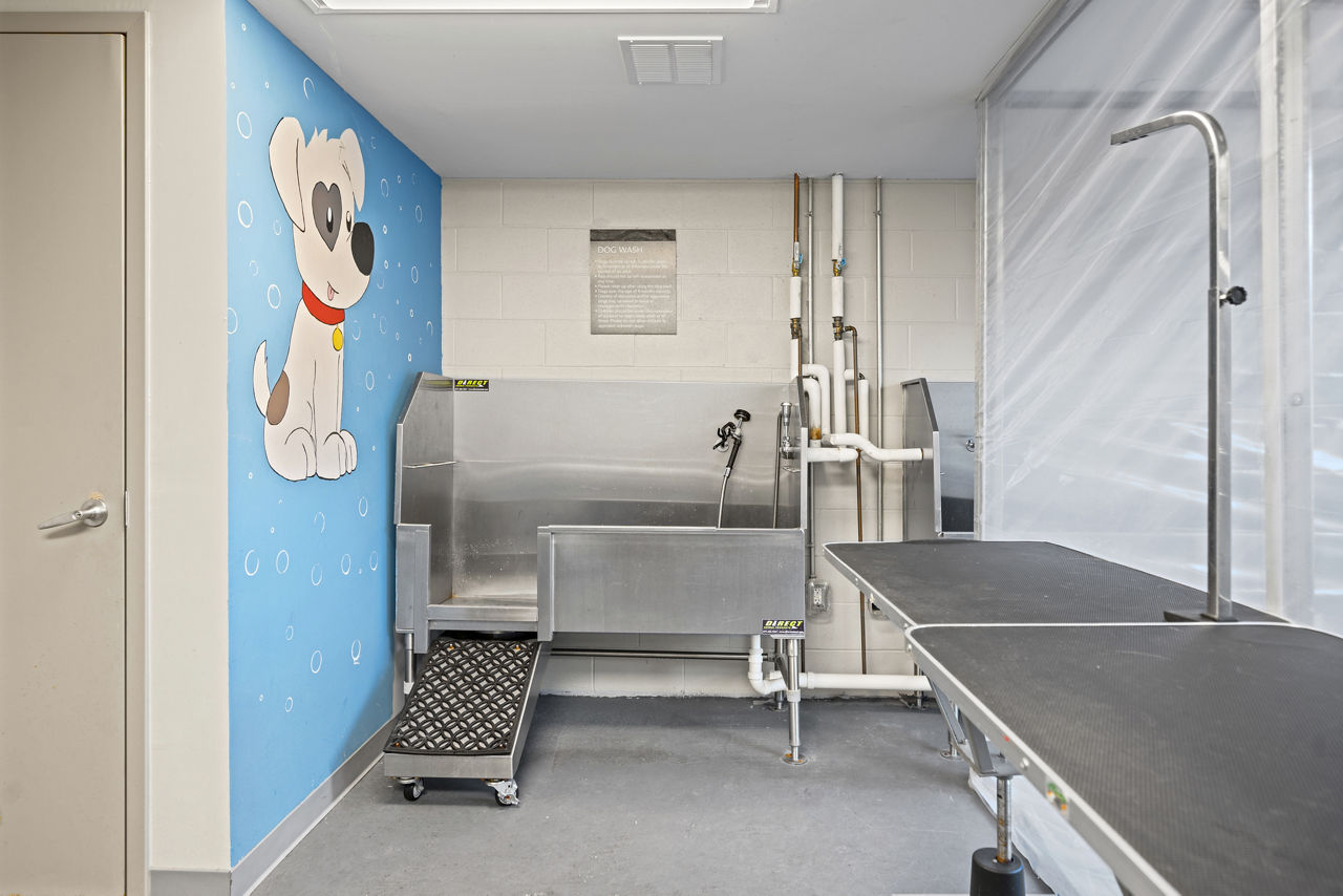Pet wash at Elan Union Market Apartments
