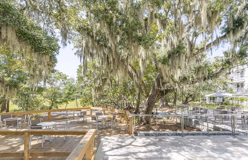 Serene courtyard with lush landscaping at Overture West Ashley luxury apartments, ideal for relaxation and outdoor living