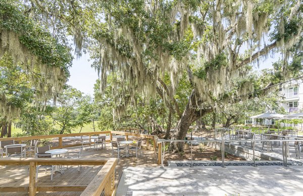 Serene courtyard with lush landscaping at Overture West Ashley luxury apartments, ideal for relaxation and outdoor living