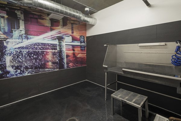 Convenient dog wash station at AV8 Apartments, perfect for pet owners seeking luxury living in a Greystar community