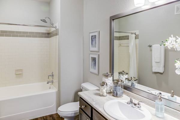 bathroom at The Meadows at HomePlace Apartments