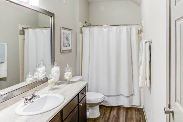 bathroom at The Meadows at HomePlace Apartments