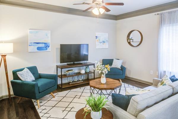 living room at The Meadows at HomePlace Apartments