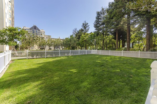 Spacious dog park with lush green spaces at The Fillmore Center apartments, perfect for pet-loving residents in San Francisco