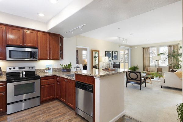 Stylish kitchen featuring modern appliances at Aventino Apartments luxury residence
