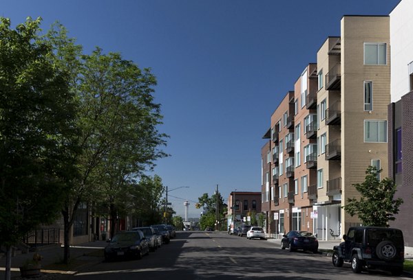 Street view with trees and parked cars beside a multi-story luxury apartment building