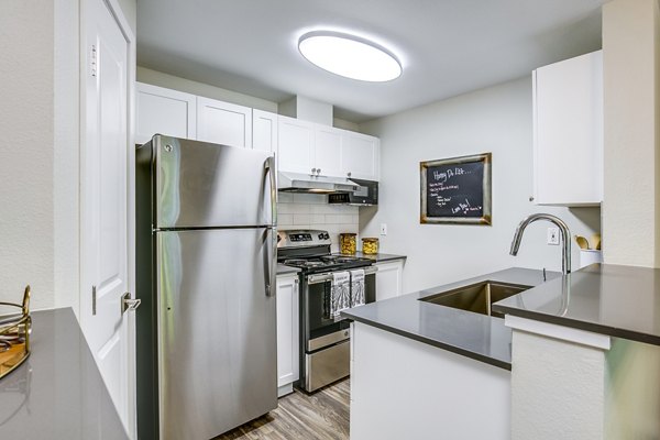 Modern kitchen with stainless steel appliances at Callen Apartments: luxury living space in Greystar community