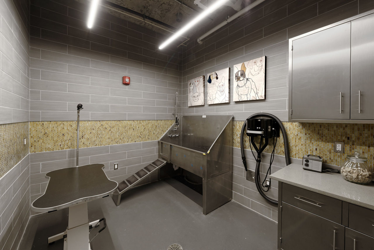 Pet wash at Station 650 Apartments