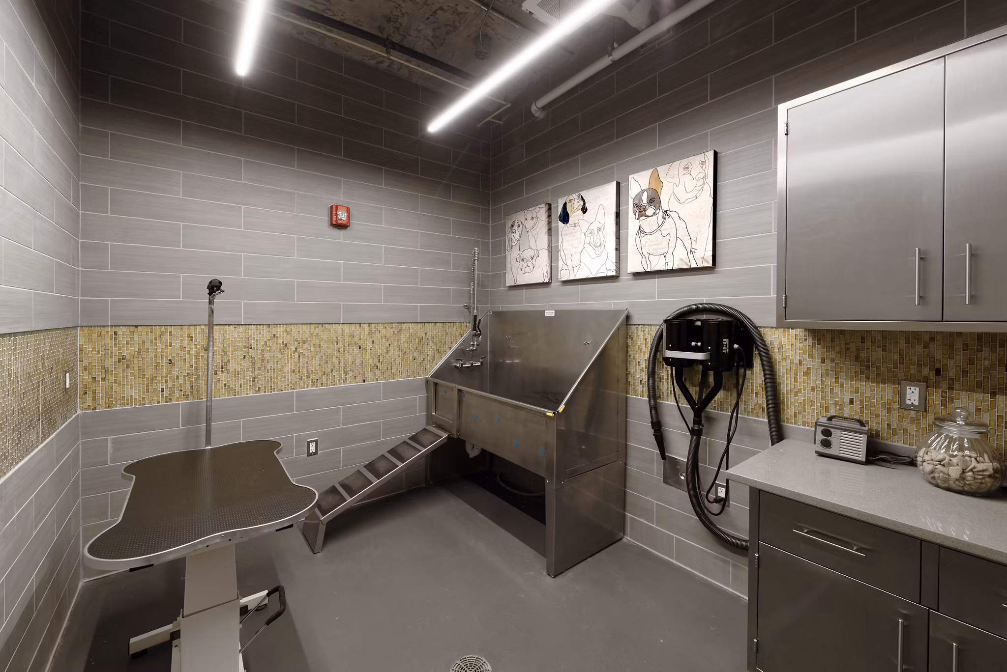 Convenient dog wash station facility at Station 650 Apartments, ideal for pet owners seeking luxury living amenities