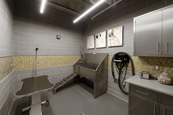 Convenient dog wash station facility at Station 650 Apartments, ideal for pet owners seeking luxury living amenities
