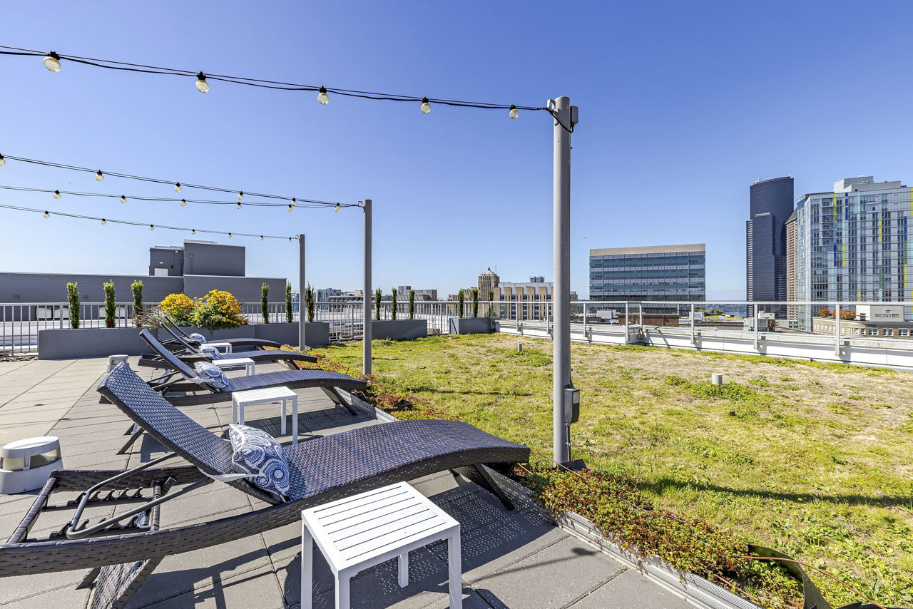 Roof deck at Zig Apartments (3 of 4)